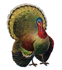 Happy Thanksgiving
