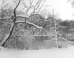 photo credit flickr user movetheclouds