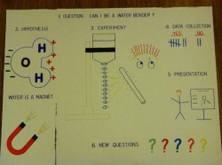 Second Grade Science Fair Poster